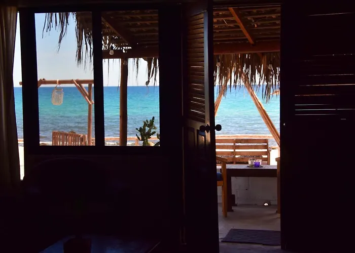 Rustico Lounge - In Front Of The San Jose del Cabo