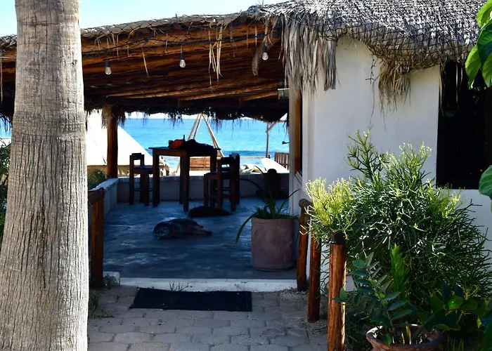 Hotel Rustico Lounge - In Front Of The San Jose del Cabo