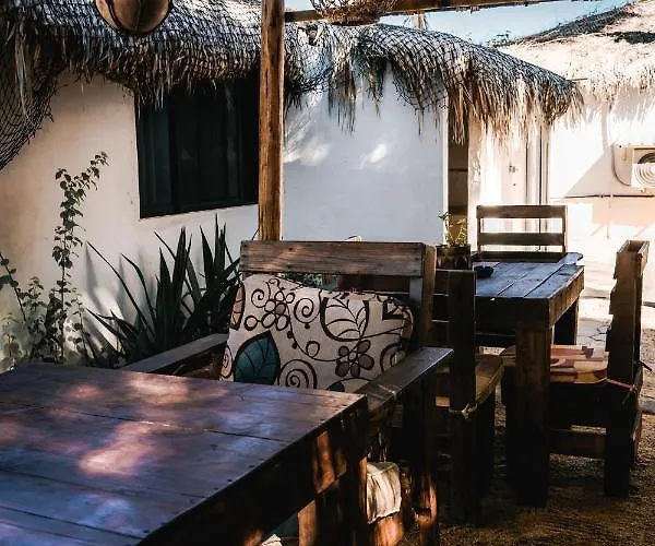 Rustico Lounge - In Front Of The San Jose del Cabo