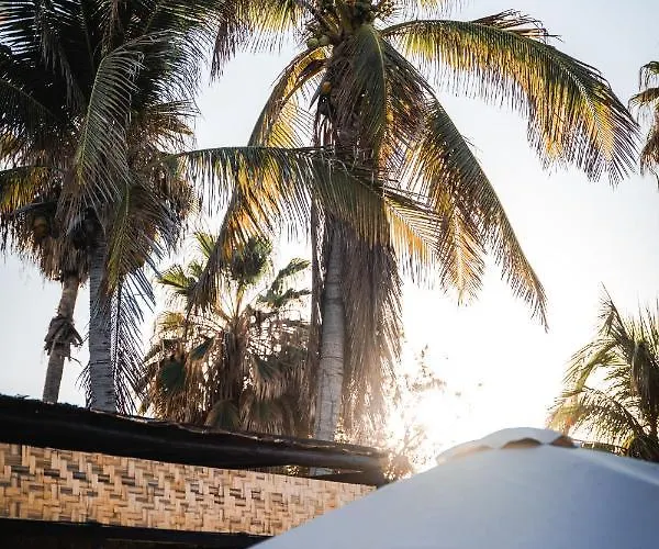 Rustico Lounge - In Front Of The * San Jose del Cabo